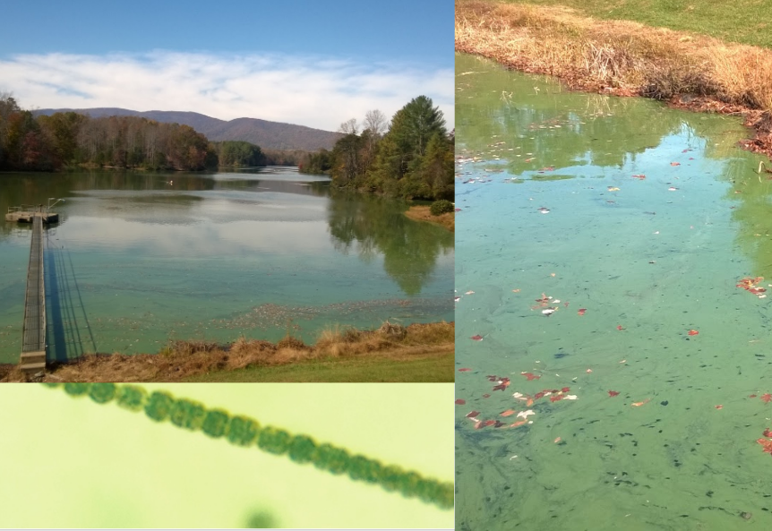 Beaver Creek Reservoir